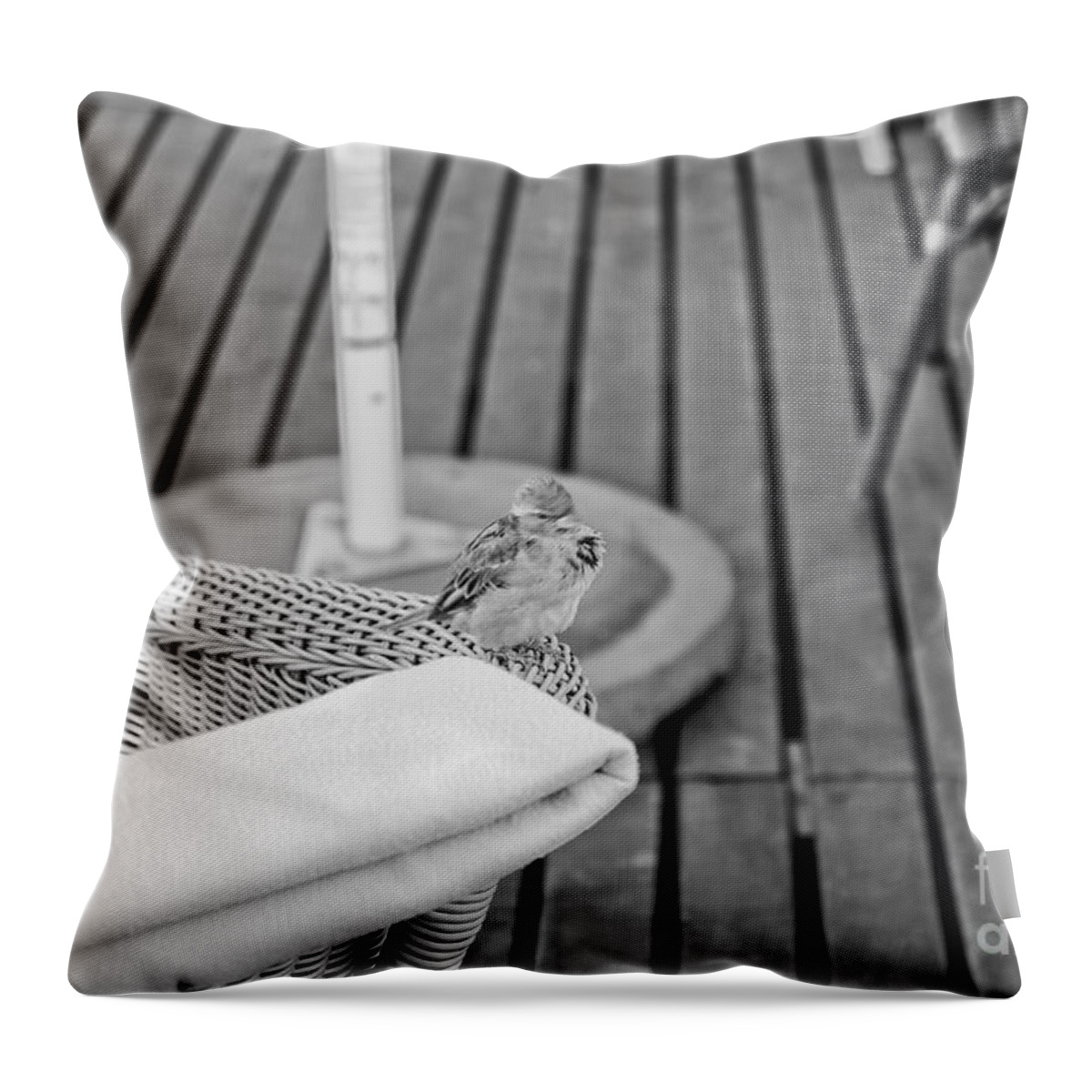 Sparrow Throw Pillow featuring the photograph Invite Me To Your Table by Dariusz Gudowicz