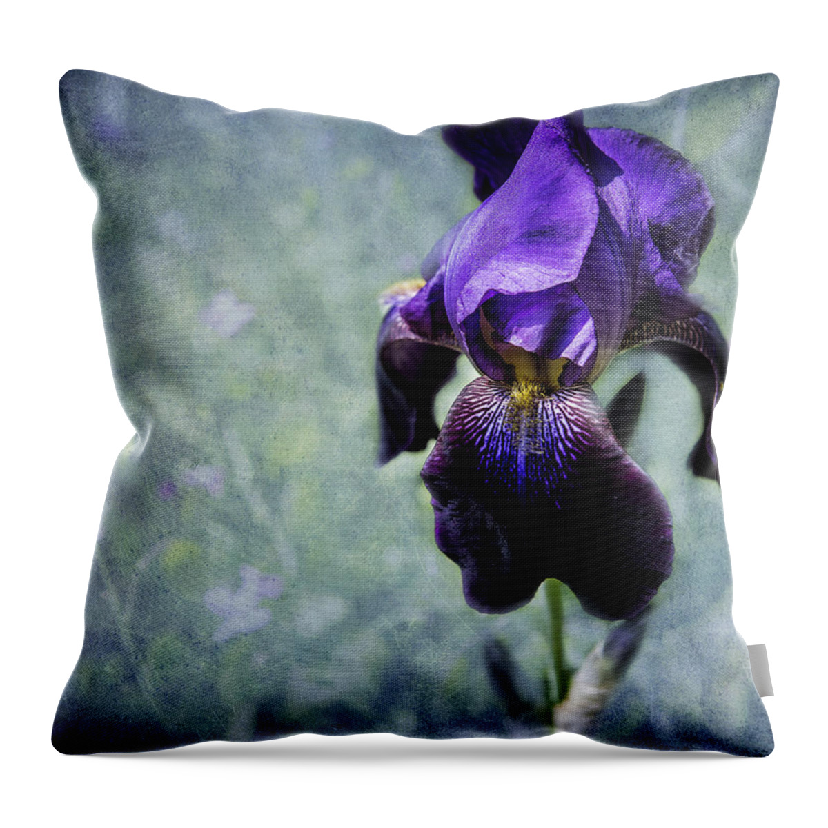 Iris Throw Pillow featuring the photograph Iris - Purple and Blue - Flowers by Belinda Greb