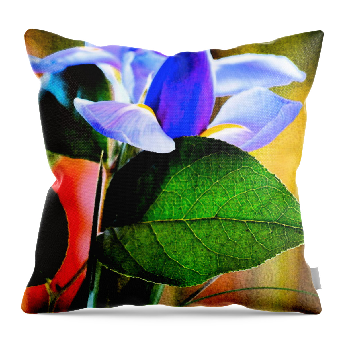 Iris Throw Pillow featuring the photograph Iris Carried Away by Gwyn Newcombe