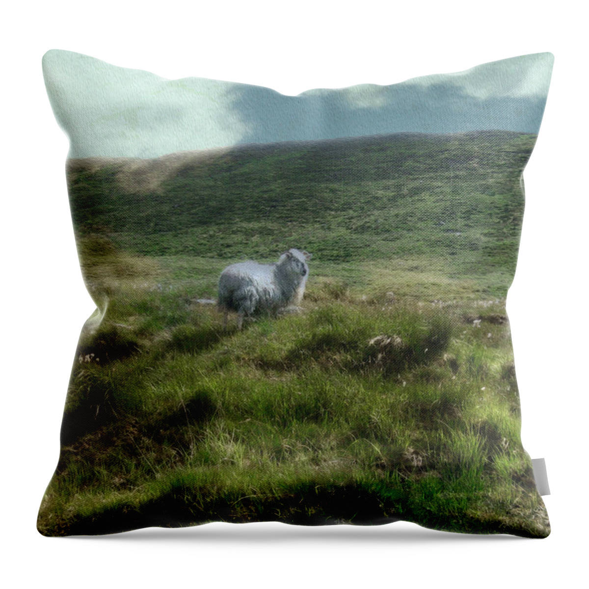 Sepia Throw Pillow featuring the photograph Irish Countryside by Kandy Hurley