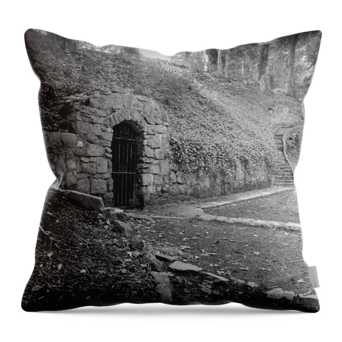 Kelly Hazel Throw Pillow featuring the photograph Iron Door in a Garden by Kelly Hazel