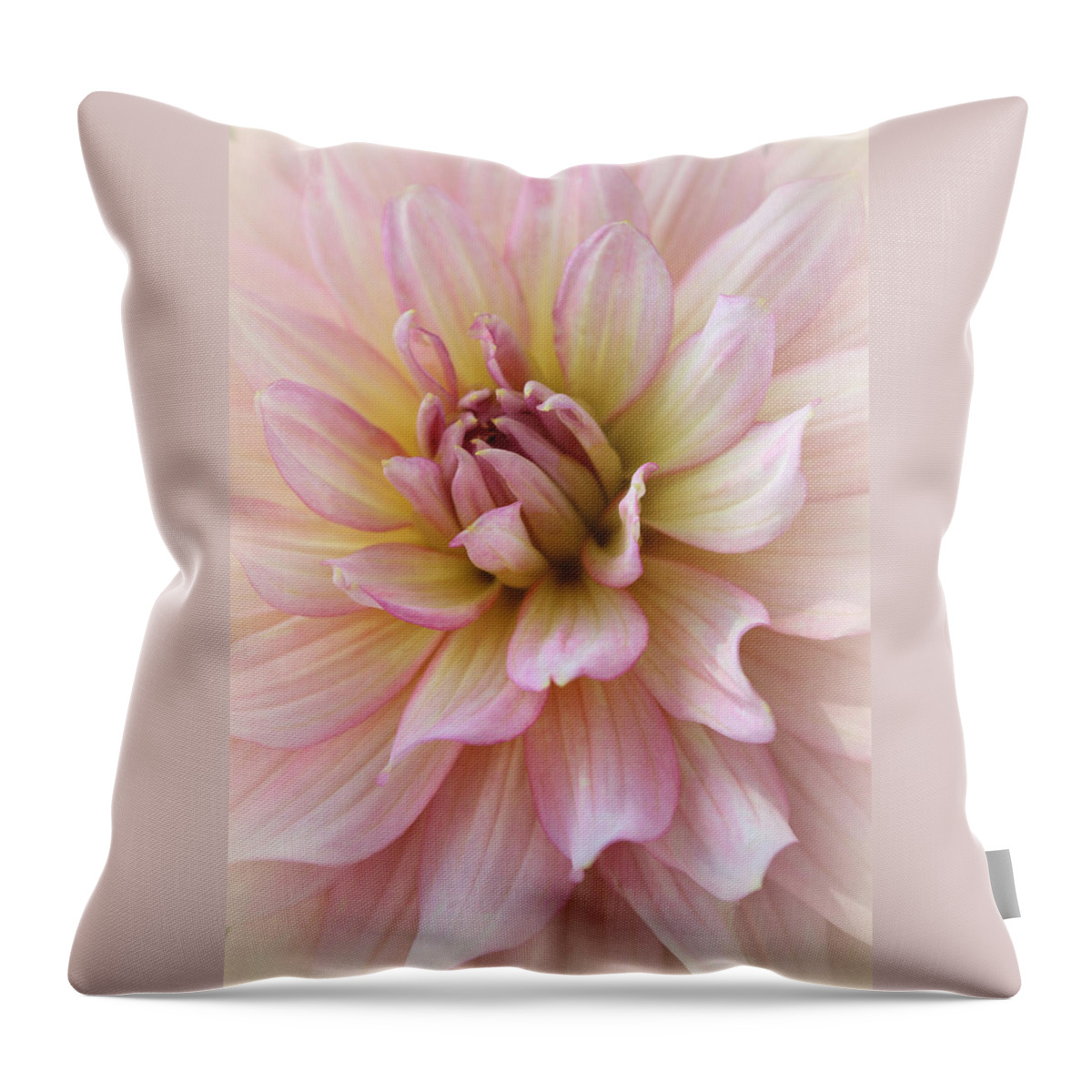 Dahlias Throw Pillow featuring the photograph Irresistible Beauty by The Art Of Marilyn Ridoutt-Greene
