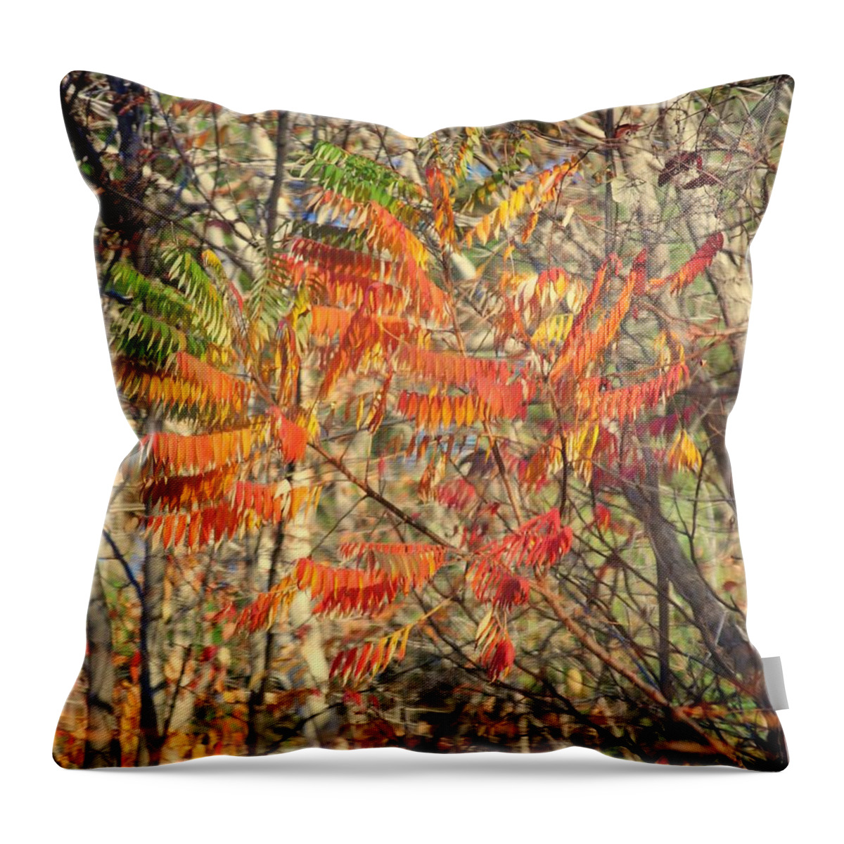 Memorex Throw Pillow featuring the photograph Is it Live or is it Memorex by Frozen in Time Fine Art Photography