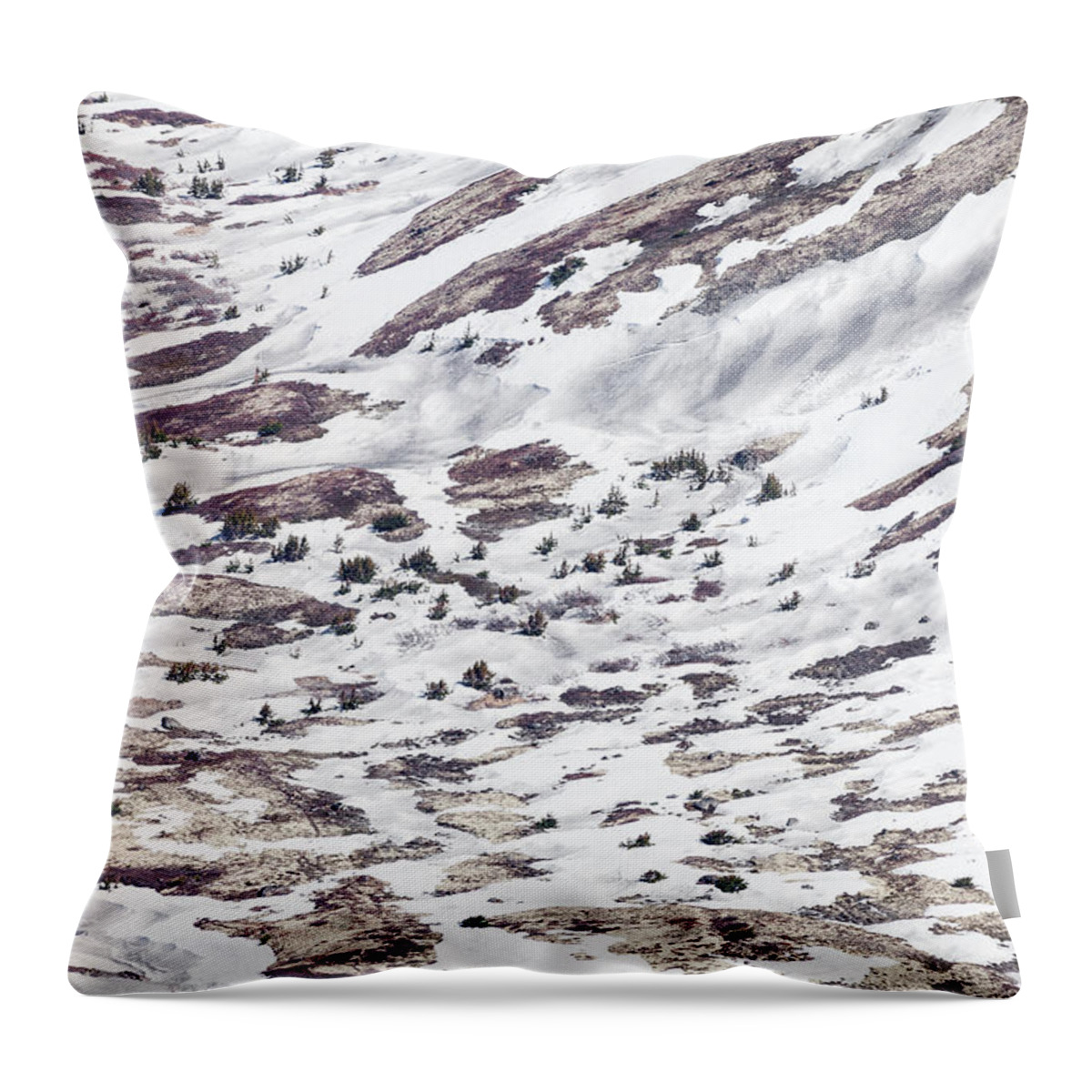 Alaska Throw Pillow featuring the photograph Is it Over by Tim Newton