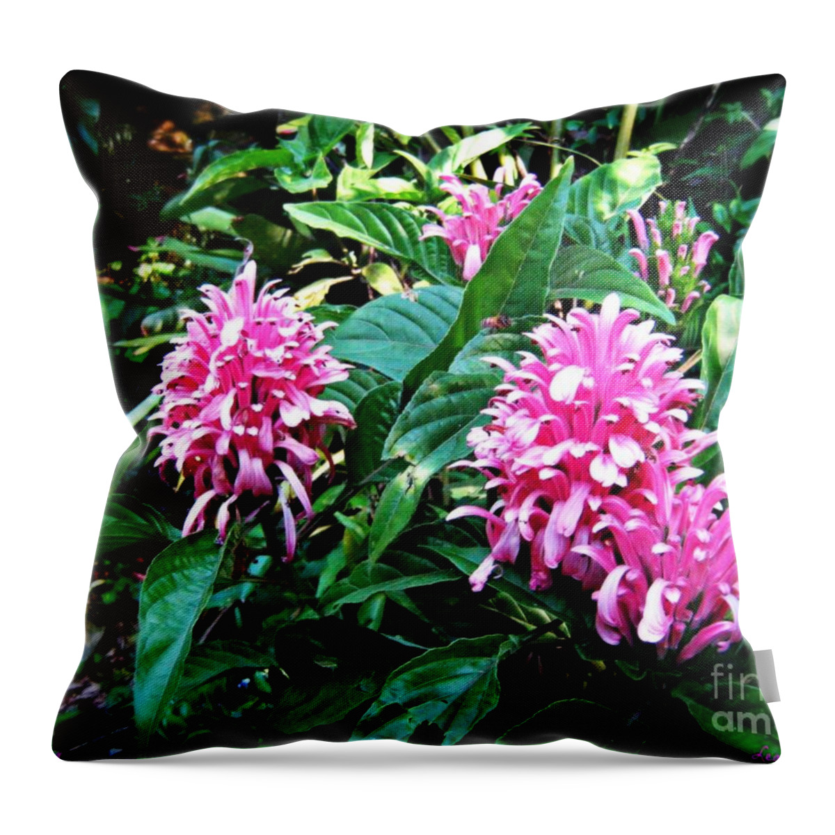 Flowers Throw Pillow featuring the photograph Island Flower by Leanne Seymour