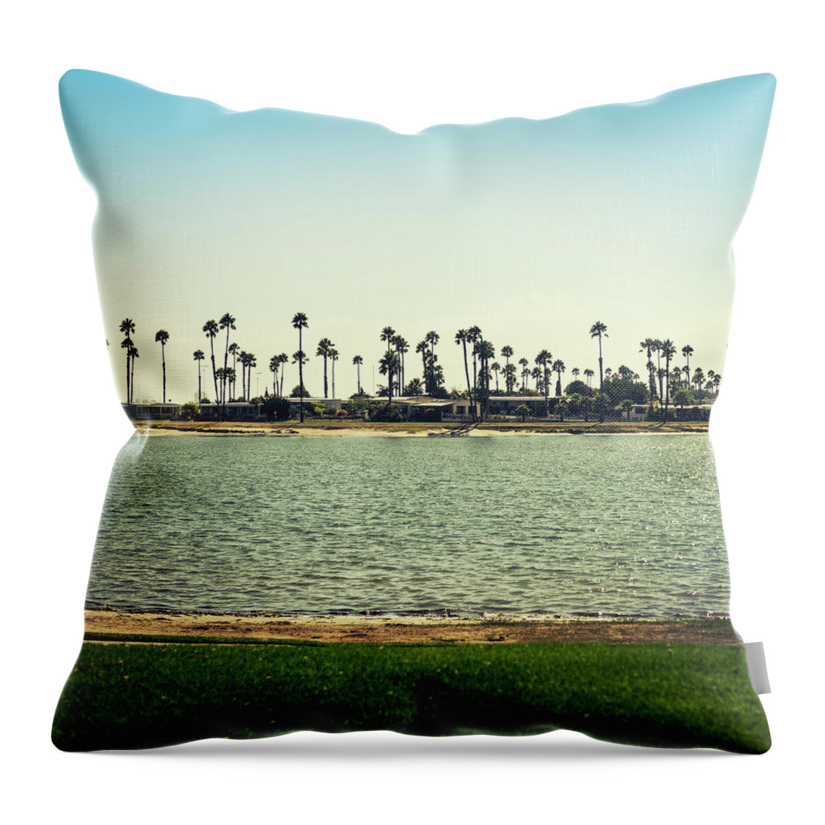 Tropical Tree Throw Pillow featuring the photograph Island Palm Tree In San Diego by Franckreporter