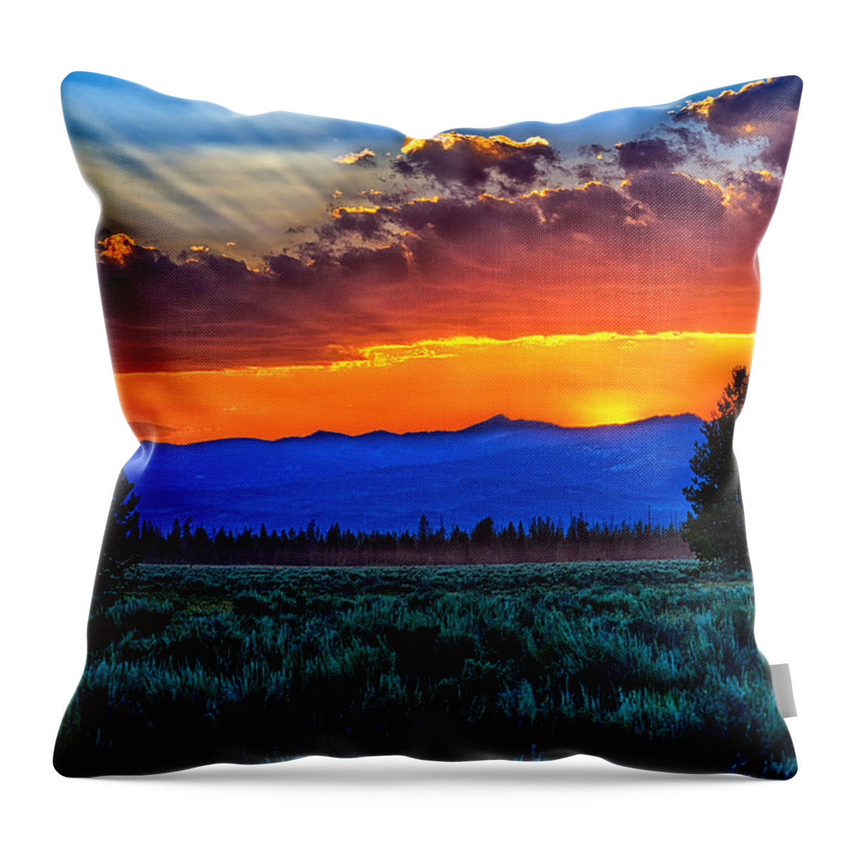 Island Park Throw Pillow featuring the photograph Island Park Sunset by Greg Norrell