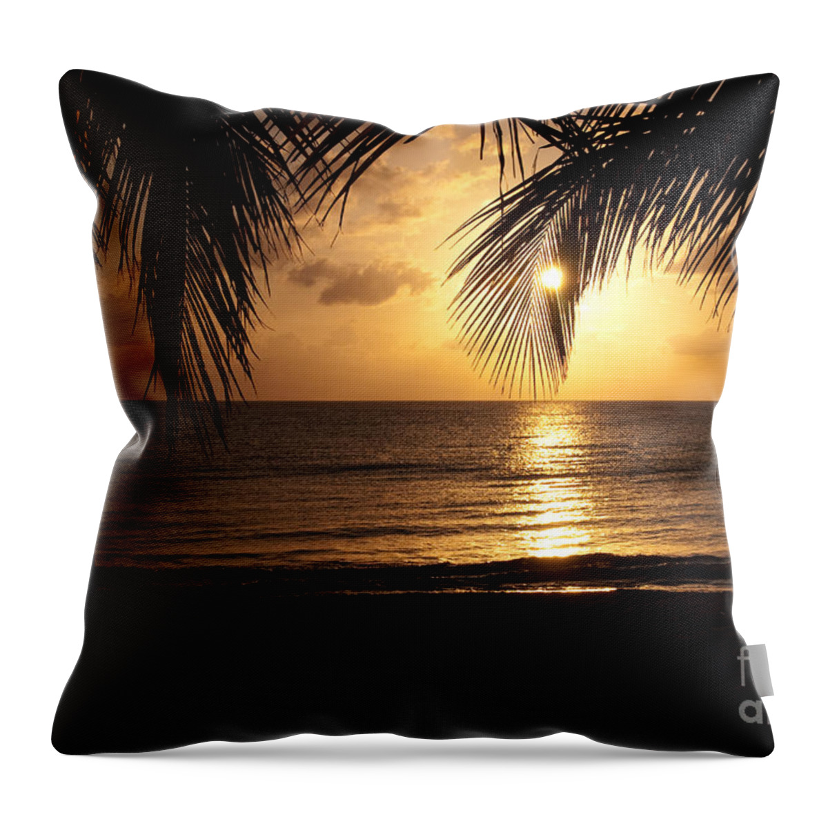Island Throw Pillow featuring the photograph Island Sunset by Charles Dobbs