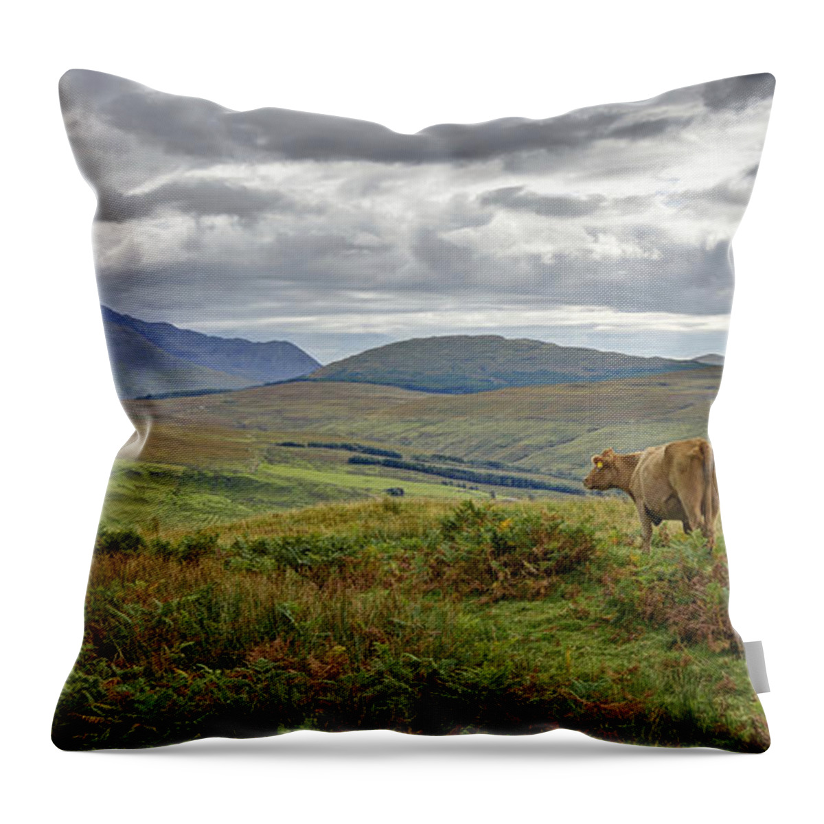 Scotland Throw Pillow featuring the photograph Isle of Skye by Claudio Bacinello