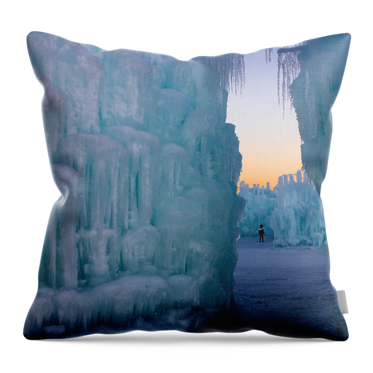 Ice Throw Pillow featuring the photograph Isolation by Christie Kowalski