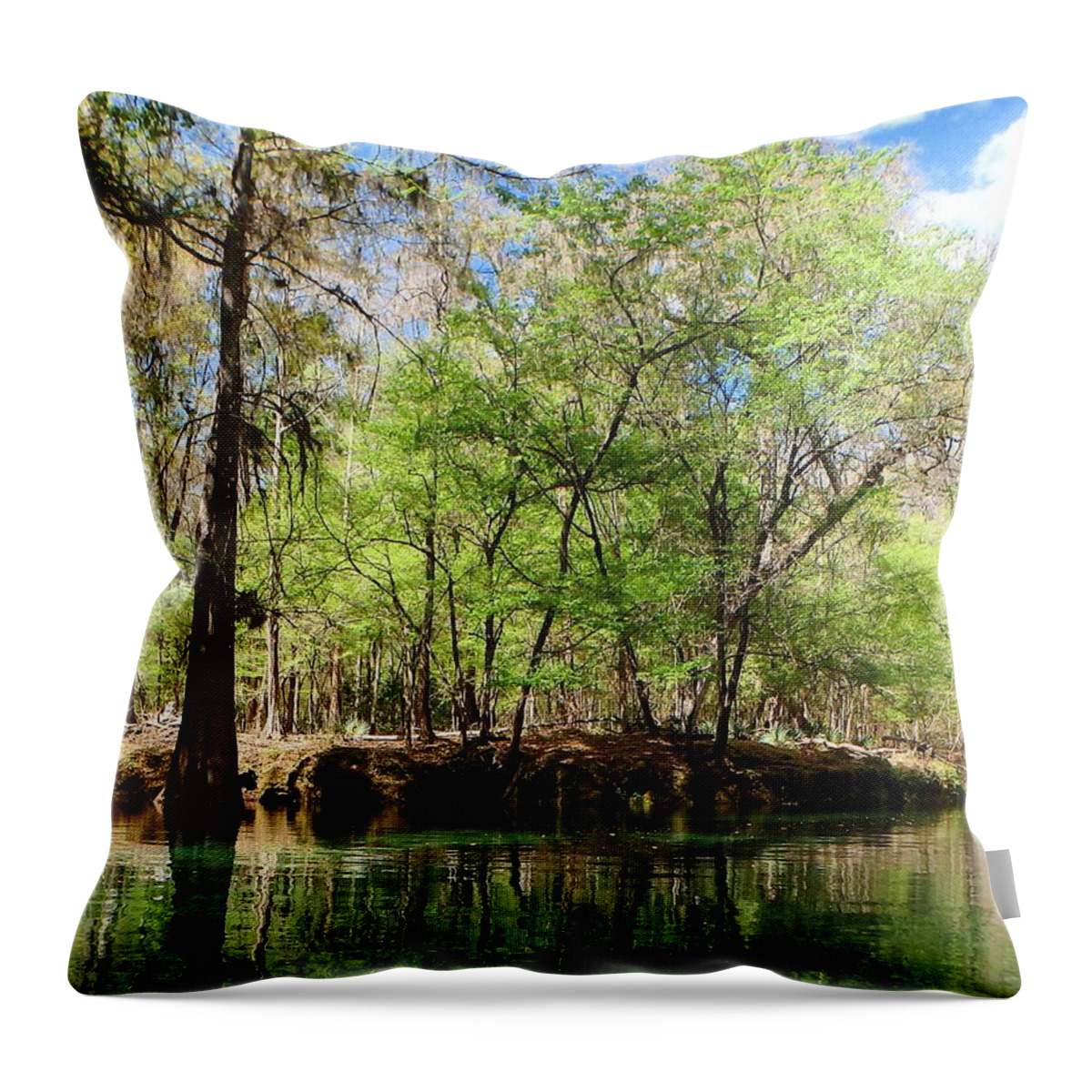 Ichetucknee Throw Pillow featuring the photograph Itchetucknee Springs March 3 by Sheri McLeroy