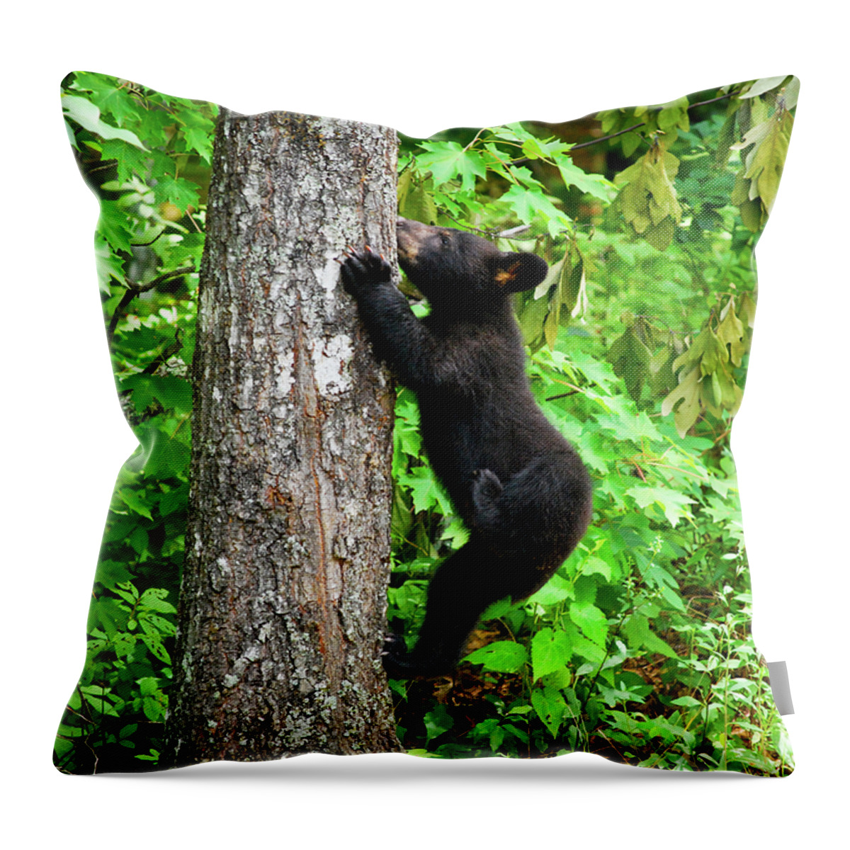 Baby Throw Pillow featuring the photograph Itchy Baby by Christi Kraft