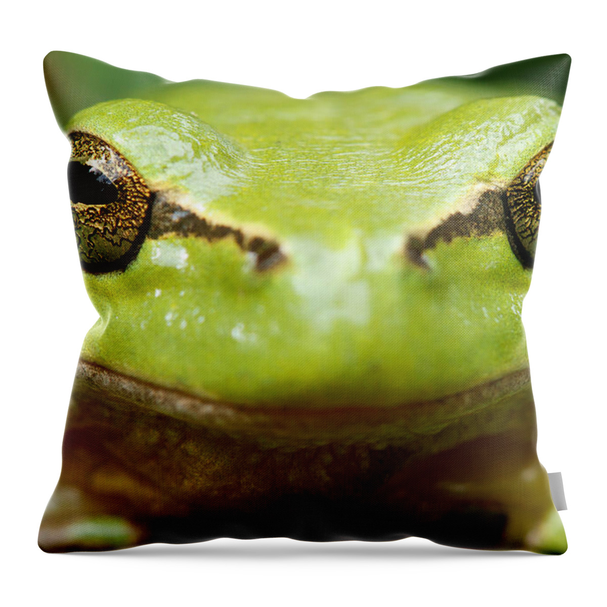 Adult Throw Pillow featuring the photograph It's Not Easy Being Green _ Tree Frog Portrait by Roeselien Raimond