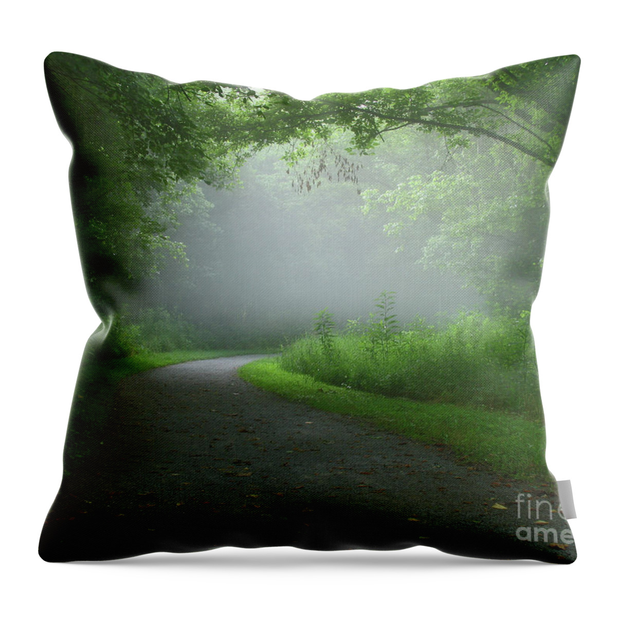 Green Throw Pillow featuring the photograph Mystery Walk by Douglas Stucky