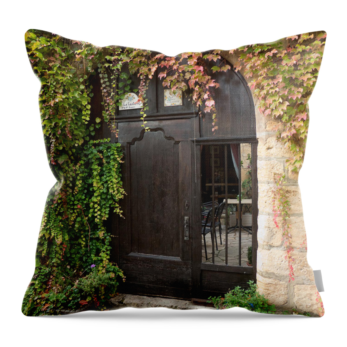 Door Throw Pillow featuring the photograph Ivy Covered Doorway by Paul Topp