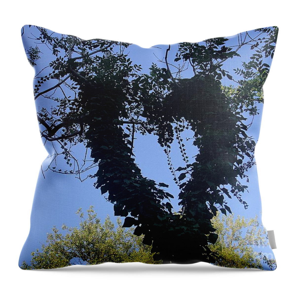 Heart Throw Pillow featuring the photograph Ivy heart by Karin Ravasio