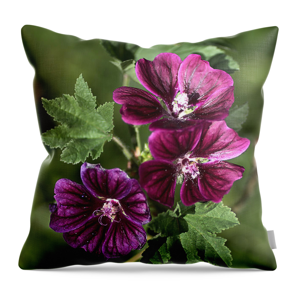 Hollyhock Throw Pillow featuring the photograph Ivy Leafed Geraniums  by Joy Watson