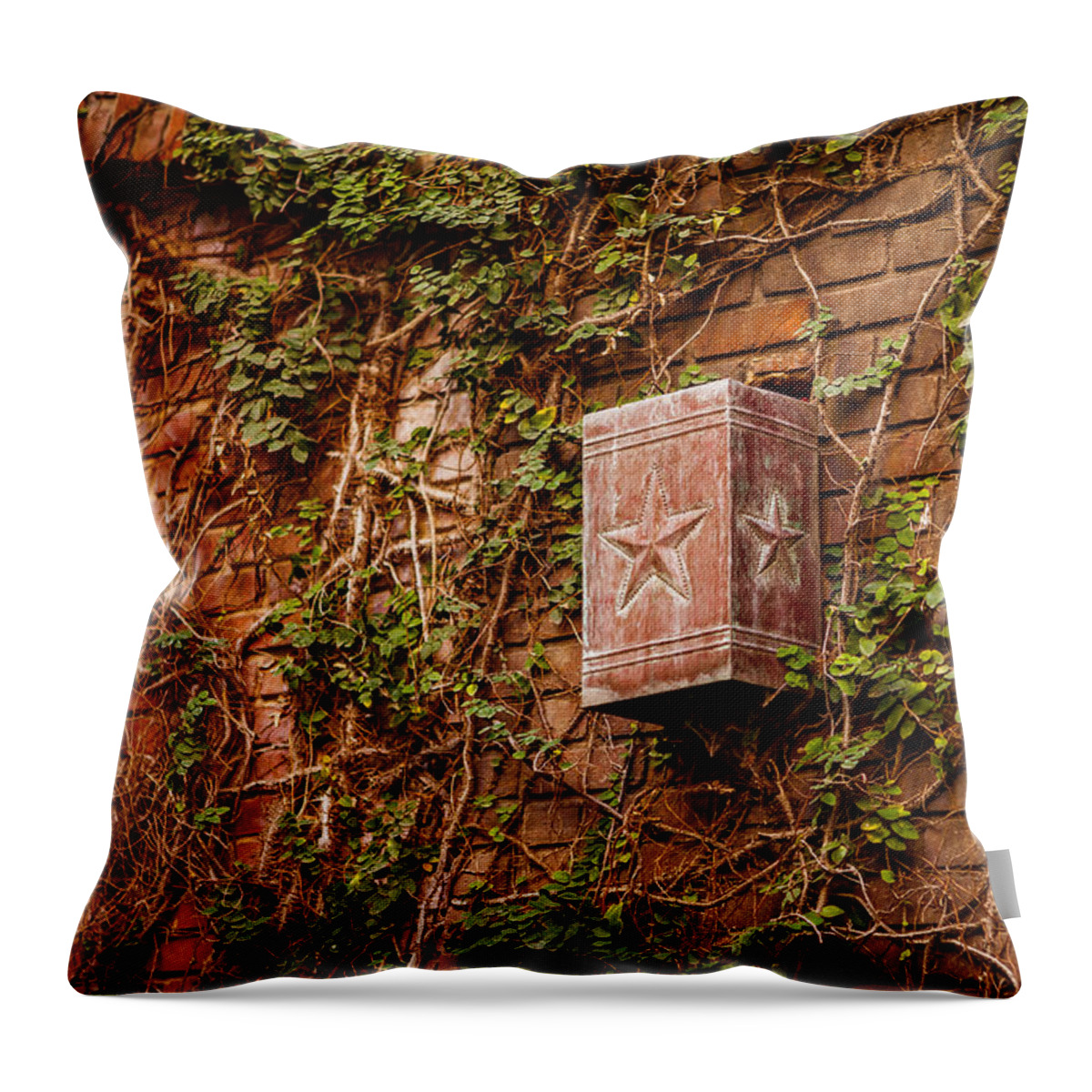 Downtown Throw Pillow featuring the photograph Ivy League Star by Melinda Ledsome