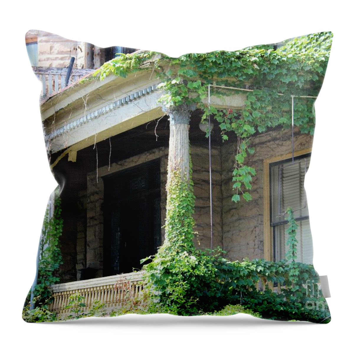 House Throw Pillow featuring the photograph Ivy Take Over by Cynthia Snyder