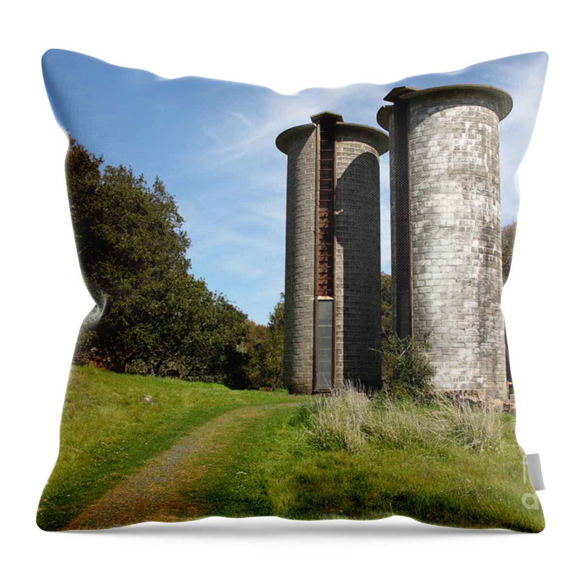 Sonoma Throw Pillow featuring the photograph Jack London Ranch Silos 5D22162 by Wingsdomain Art and Photography