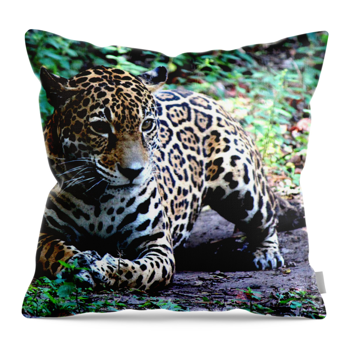 Jaguar Throw Pillow featuring the photograph Jaguar Crouching by Kathy White