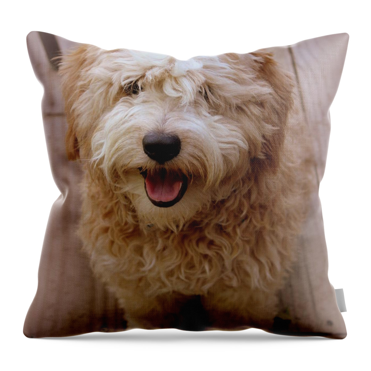 Jameson Throw Pillow featuring the photograph Jameson by Beth Vincent