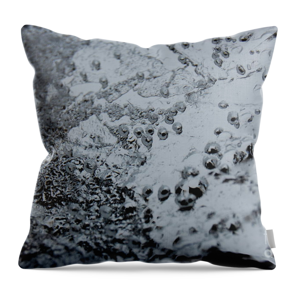 Abstract Throw Pillow featuring the photograph Jammer Abstract 008 by First Star Art