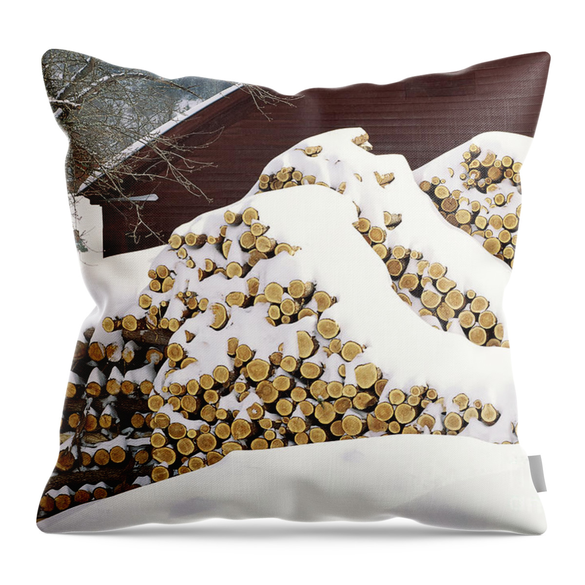 Winter Throw Pillow featuring the photograph January Woodpile by Alan L Graham