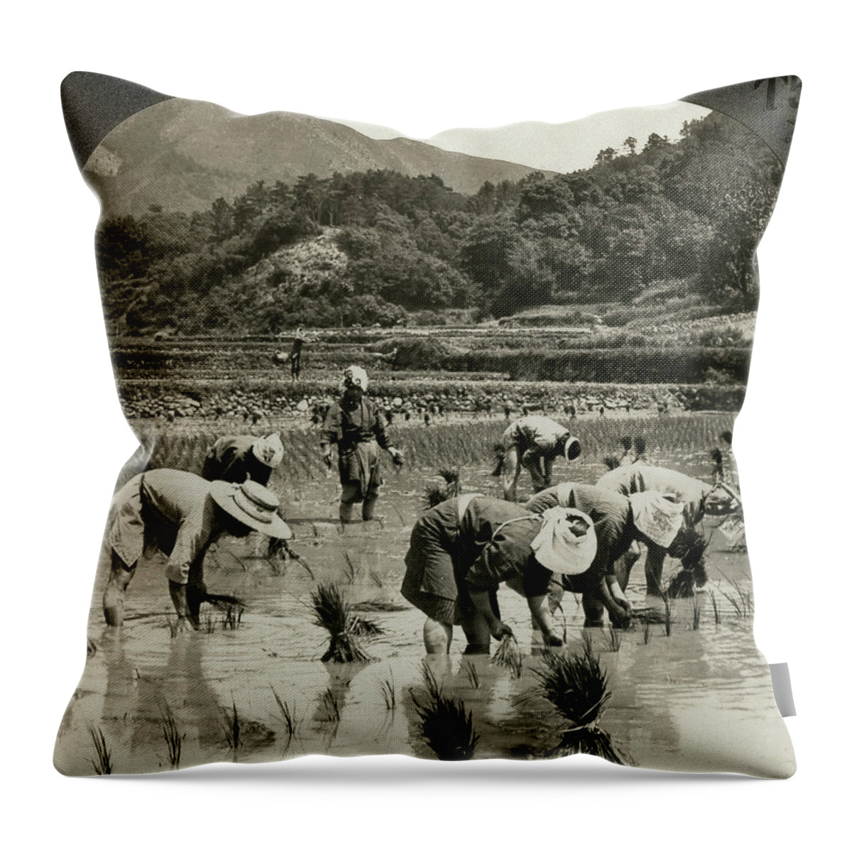 1920 Throw Pillow featuring the photograph Japan Agriculture, C1920 by Granger