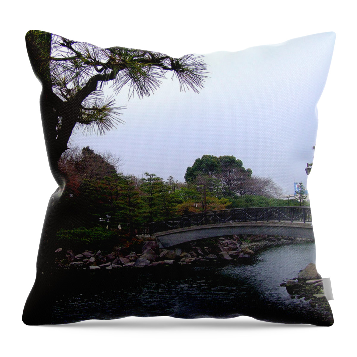 Japan Throw Pillow featuring the photograph Japan by Andrea Anderegg