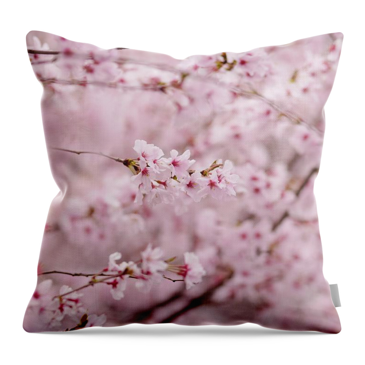 Outdoors Throw Pillow featuring the photograph Japanese Cherry Blossoms by Rolfo