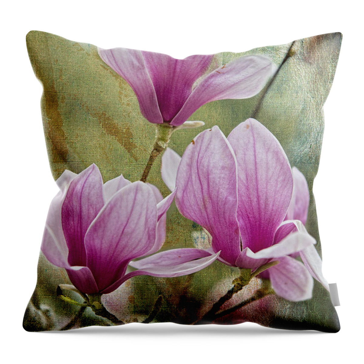 Japanese Magnolias Throw Pillow featuring the photograph Japanese Magnolias at Avery Island by Bonnie Barry