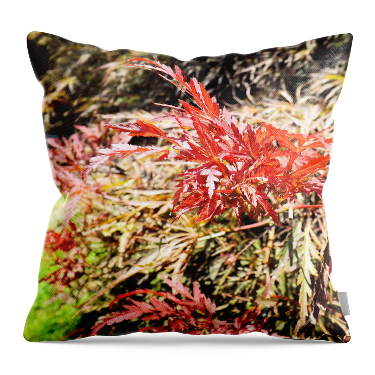 Tree Throw Pillow featuring the photograph Japanese Maple #2 by Robyn King