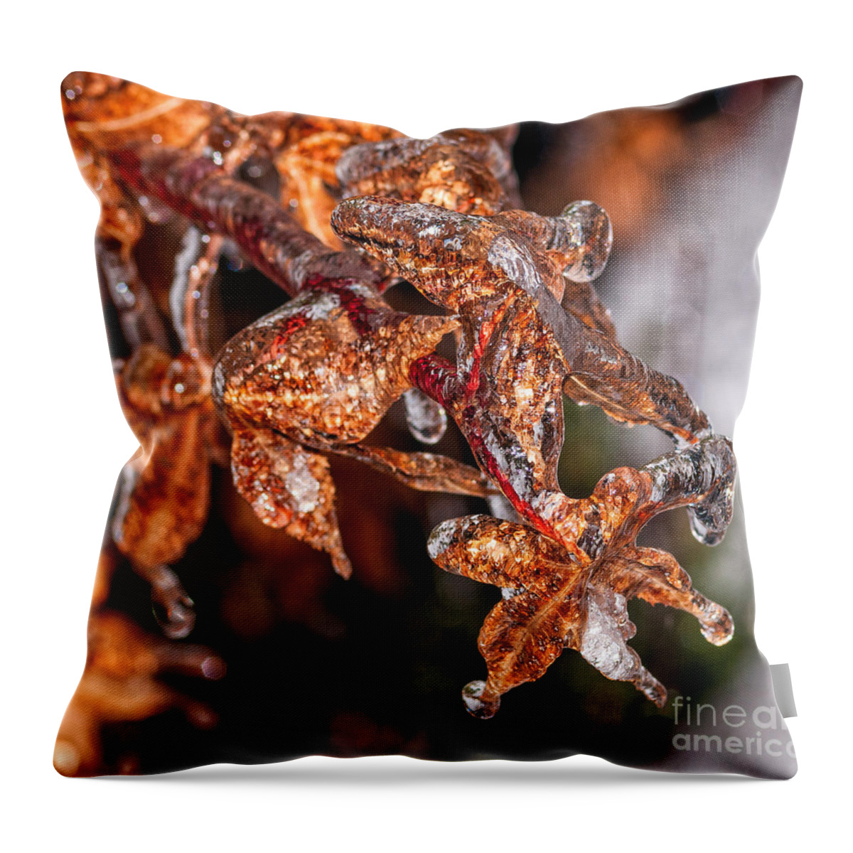 Japanese Throw Pillow featuring the photograph Japanese Maple Leaves In Ice by Les Palenik