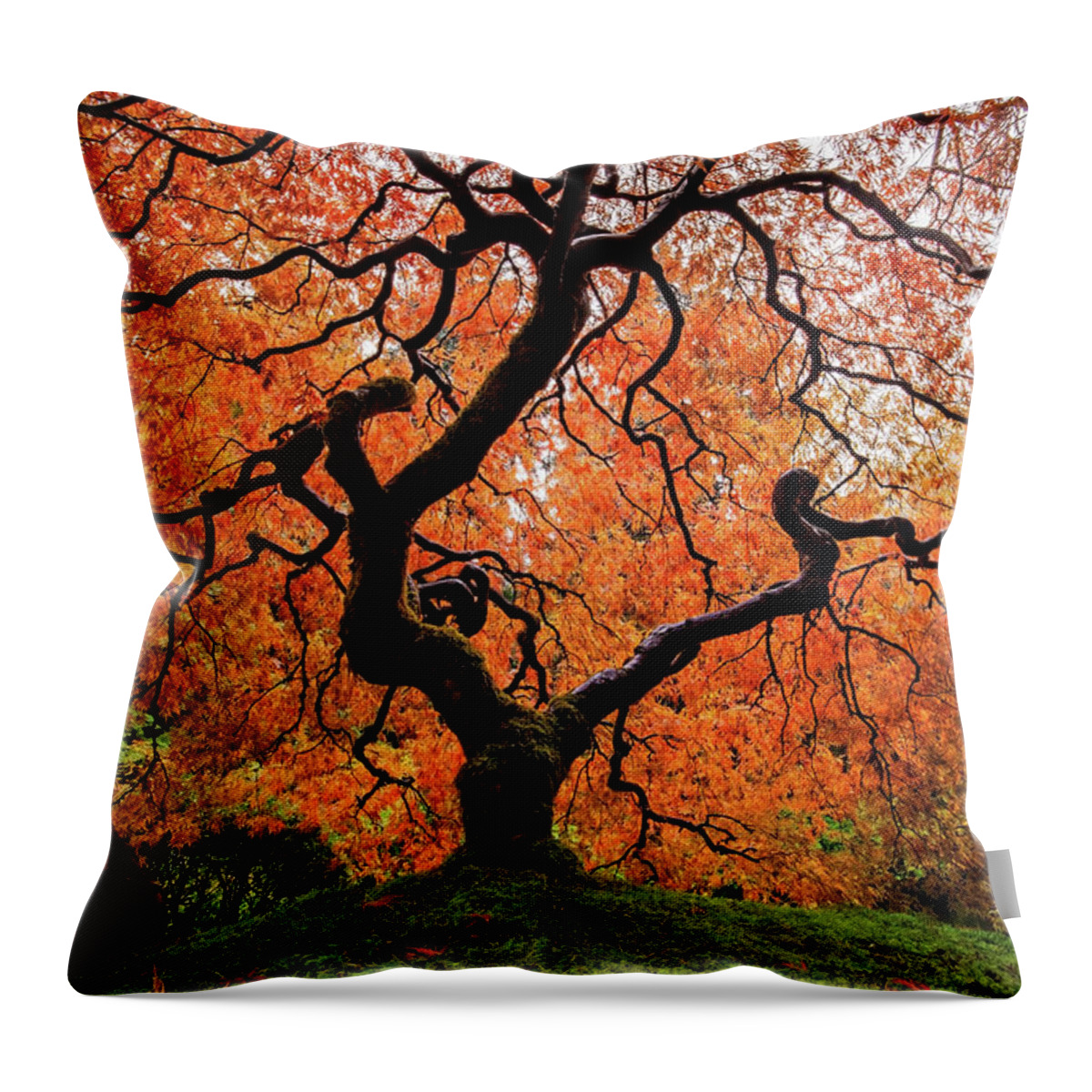 Tranquility Throw Pillow featuring the photograph Japanese Maple by Naphat Photography