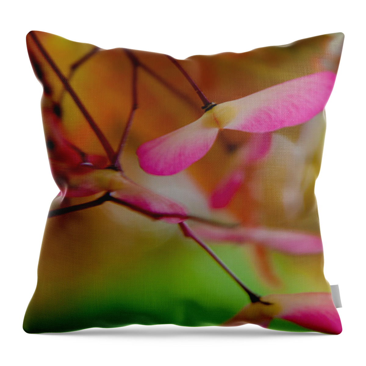 Japanese Maple Throw Pillow featuring the photograph Japanese Maple Seedling by Brenda Jacobs