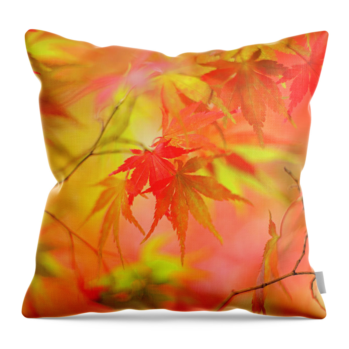 Tranquility Throw Pillow featuring the photograph Japanese Maple Tree Leaves - Acer by Jacky Parker Photography