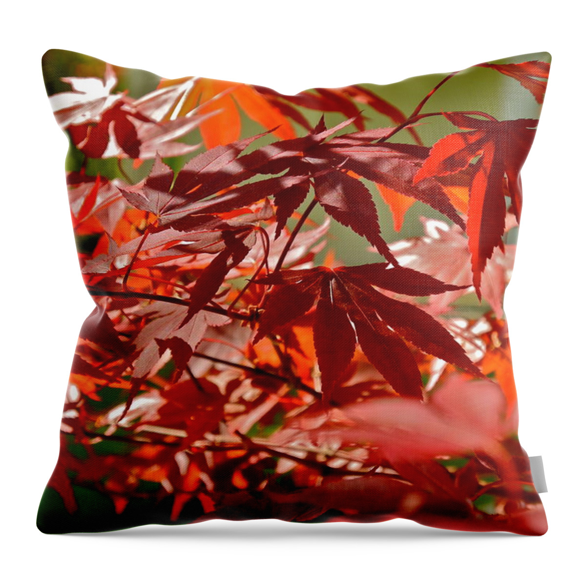 Japanese Red Leaf Maple Throw Pillow featuring the photograph Japanese Red Leaf Maple by Kirsten Giving