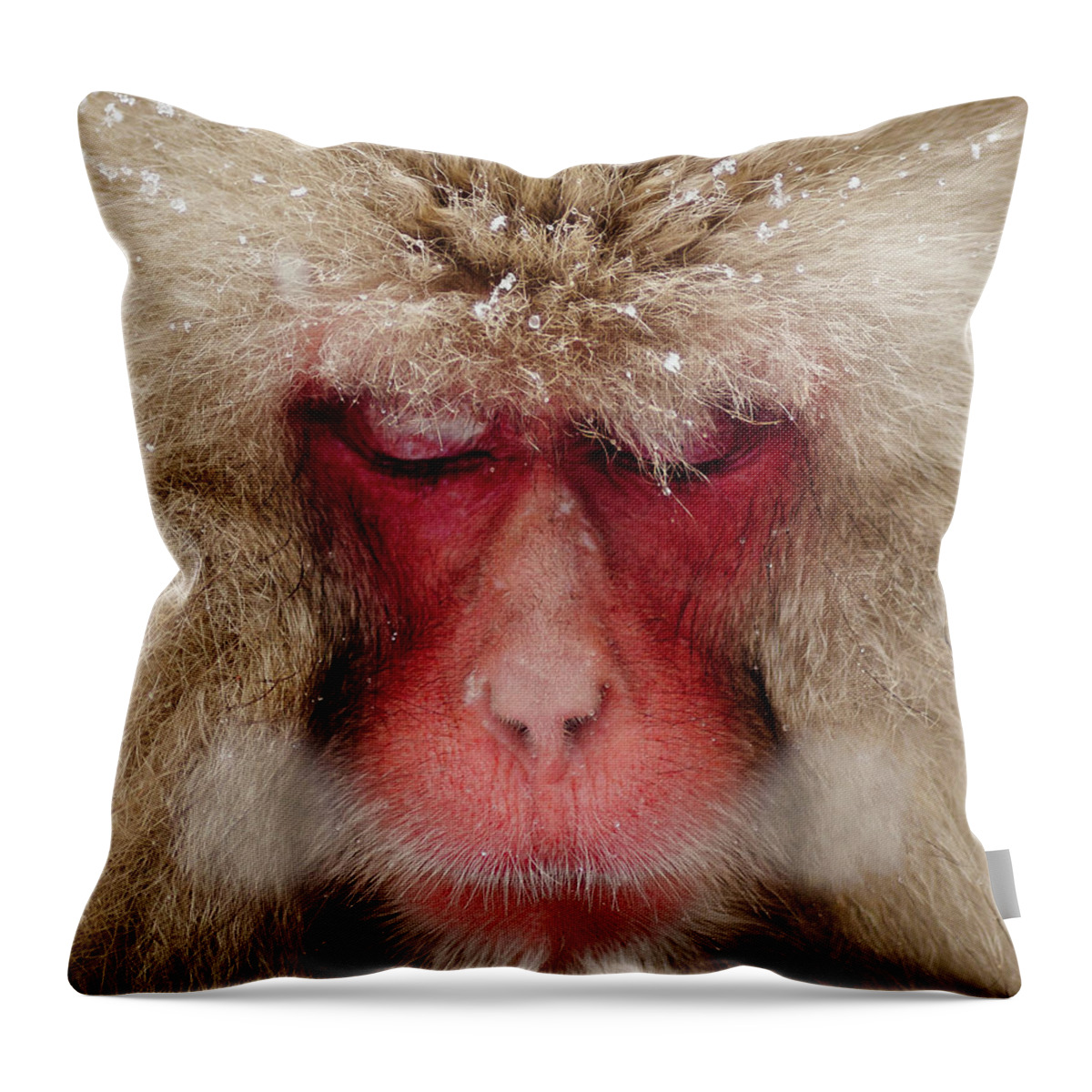 Snow Throw Pillow featuring the photograph Japanese Snow Monkey Breathing In Cold by Photography By Martin Irwin
