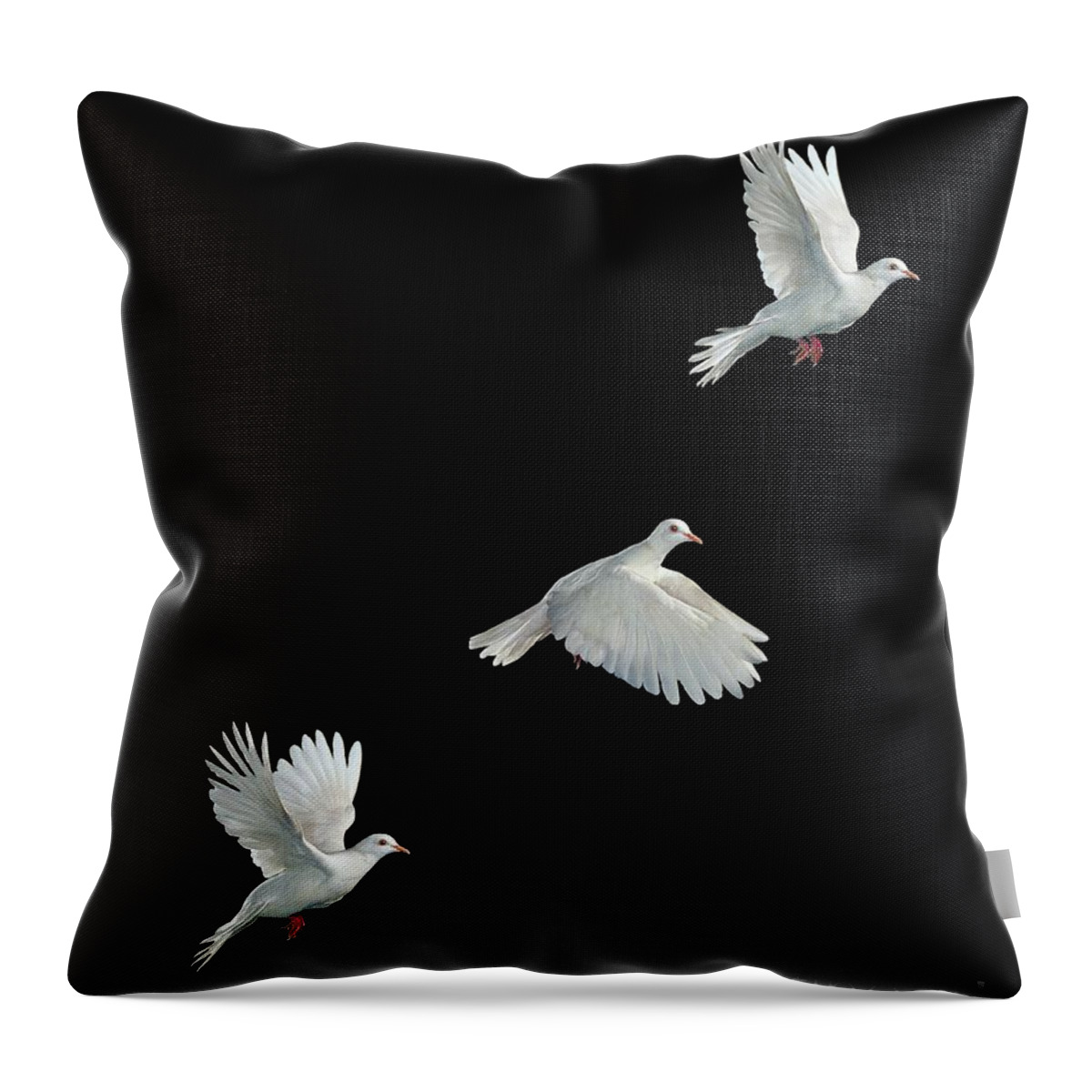 Java Dove Throw Pillow featuring the photograph Java Dove in Flight by Stephen Dalton