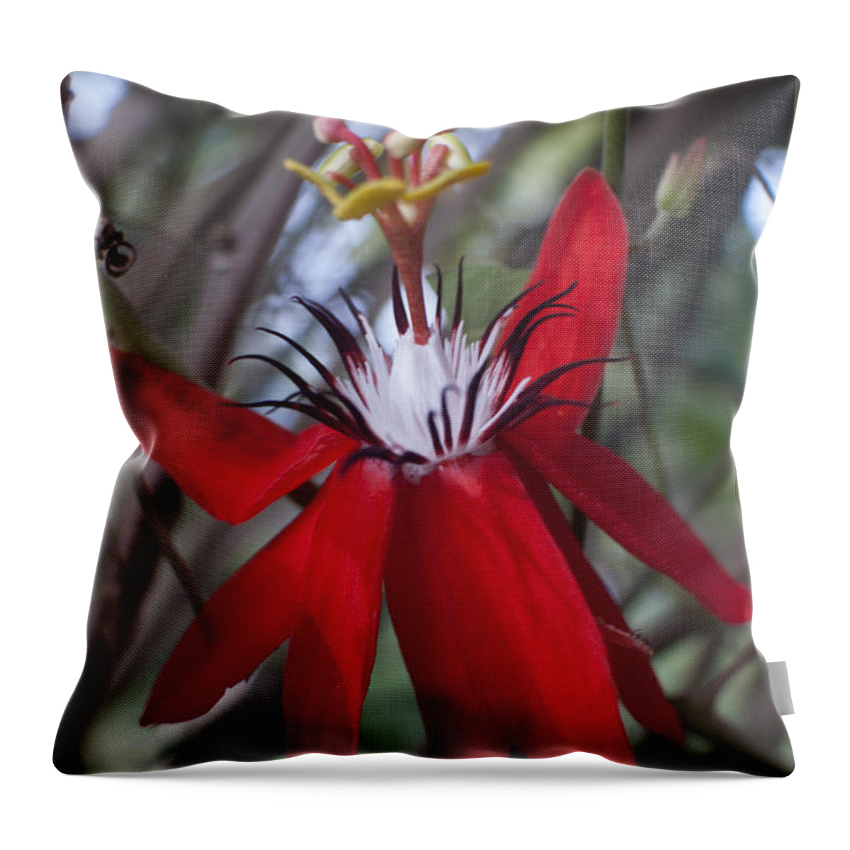 Flowers Throw Pillow featuring the photograph Java Paradise by Miguel Winterpacht
