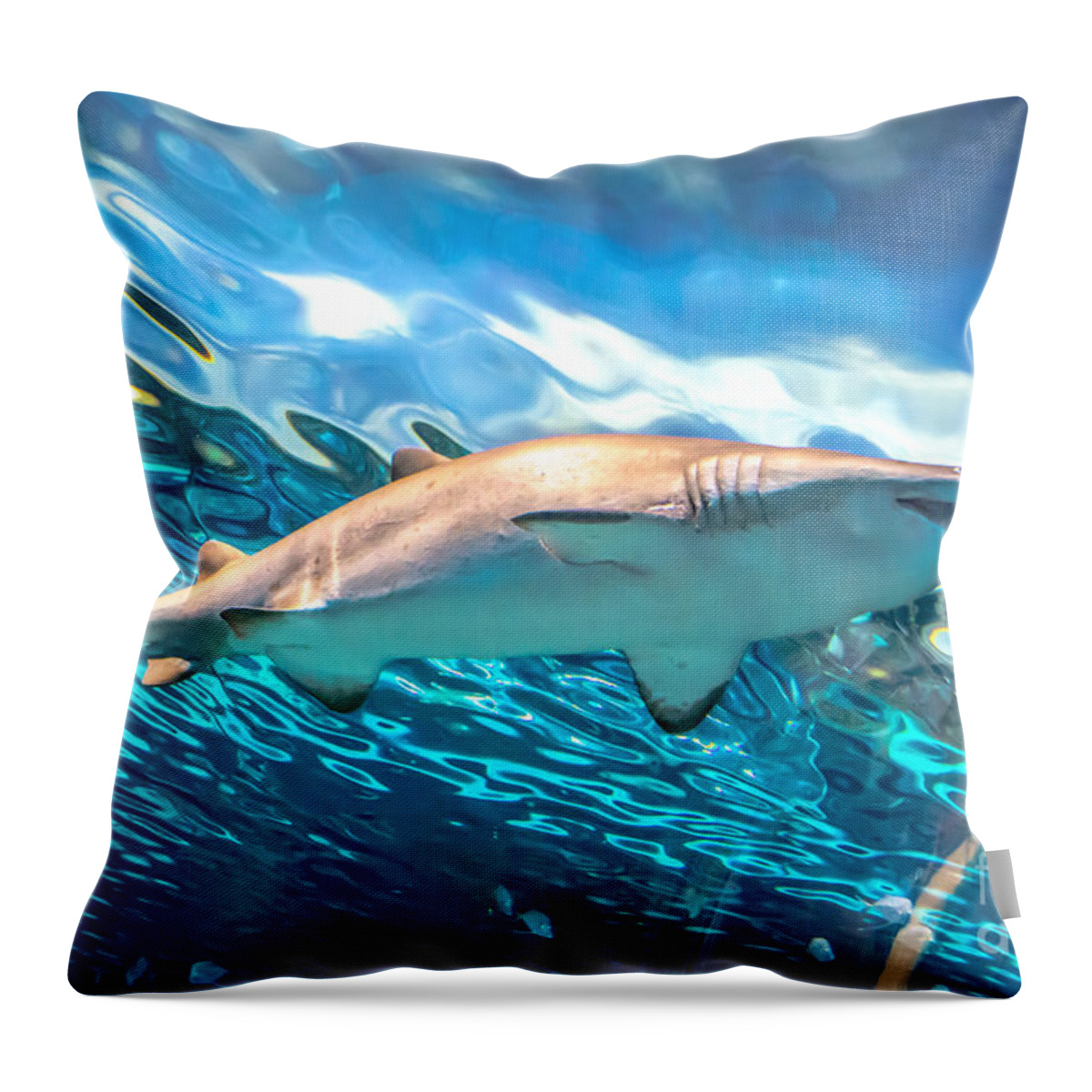 Shark Throw Pillow featuring the photograph Jaws by Cheryl Baxter