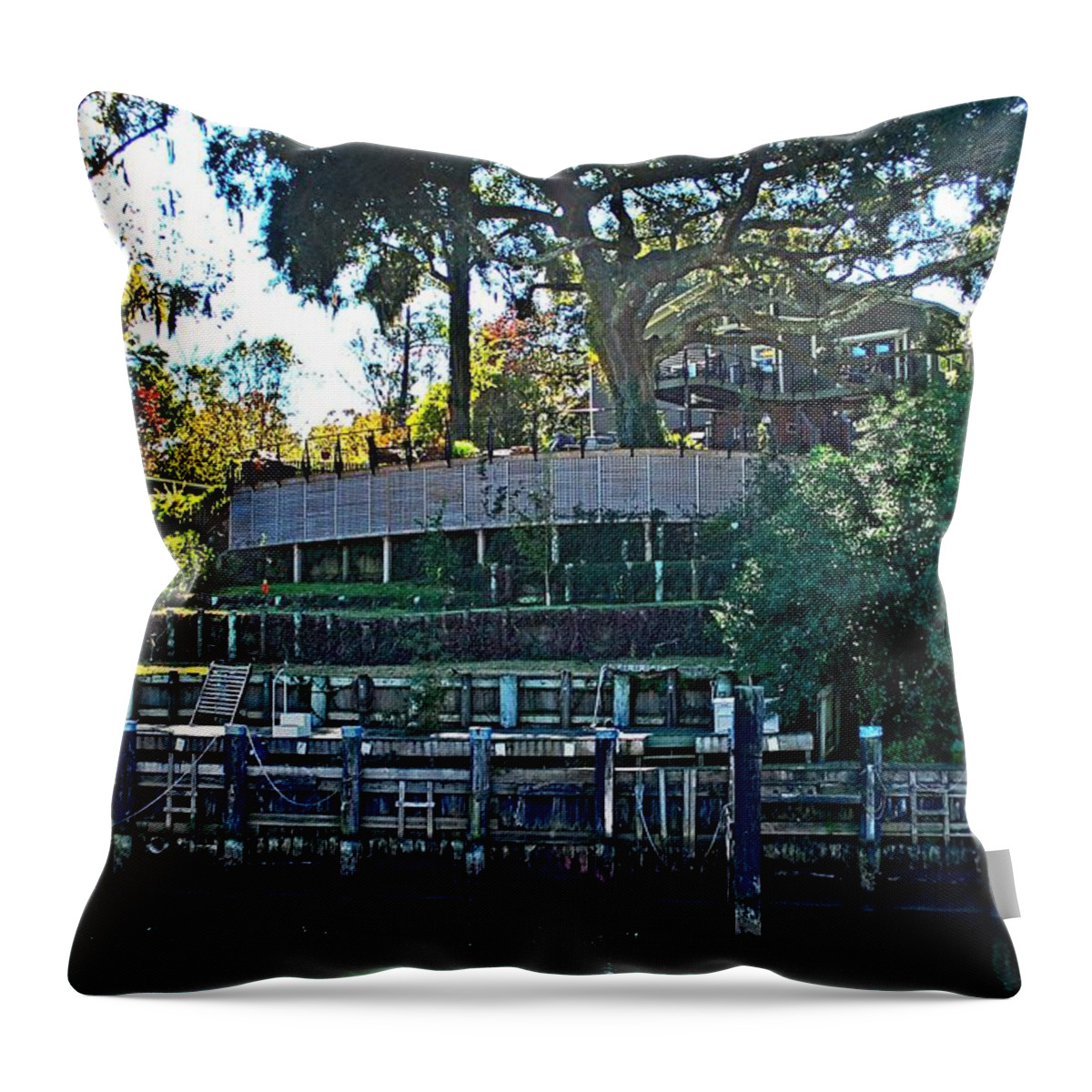 Home Portraits Throw Pillow featuring the digital art Jeanne by Michael Thomas