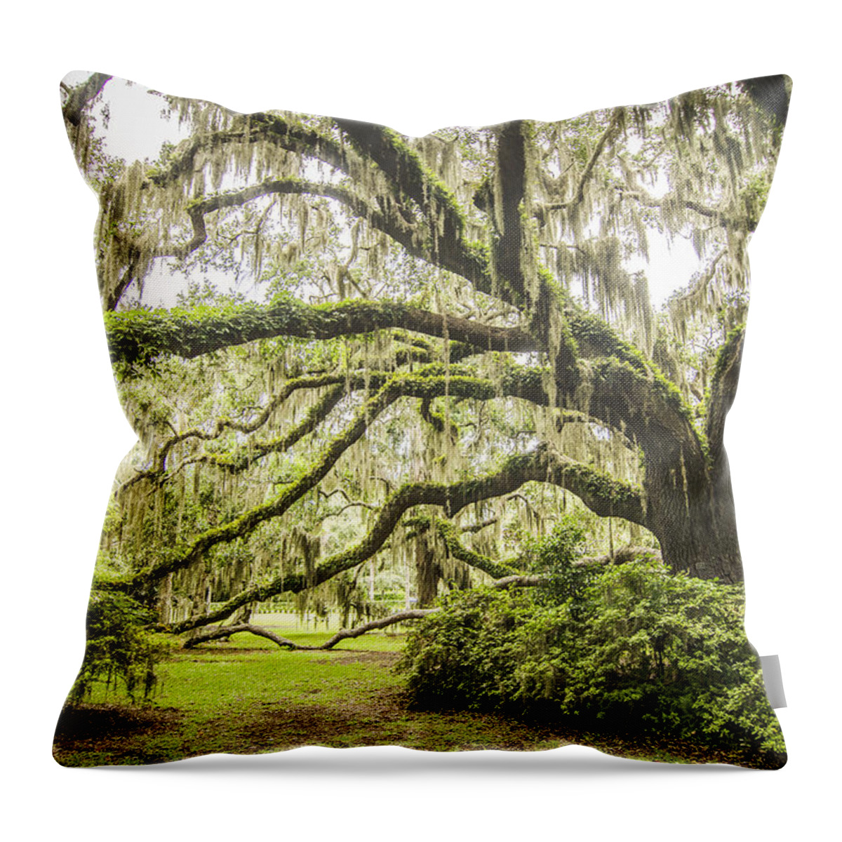 Landscape Throw Pillow featuring the photograph Jekyll Island GA The Plantation Oak by Robert Stephens