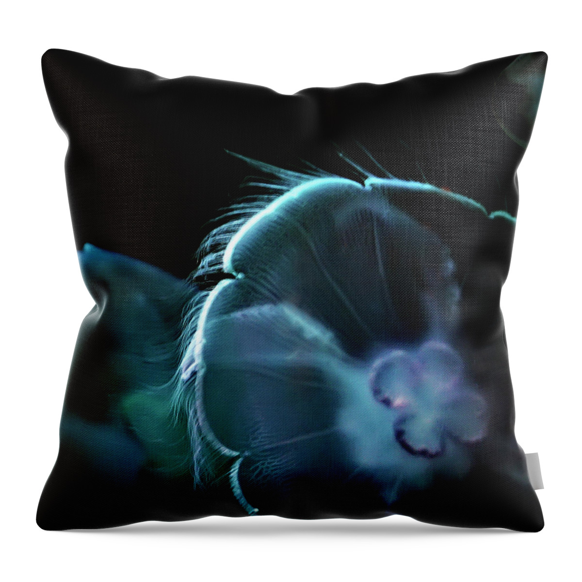Las Vegas Throw Pillow featuring the photograph Jellies in Blue Light by Art Block Collections