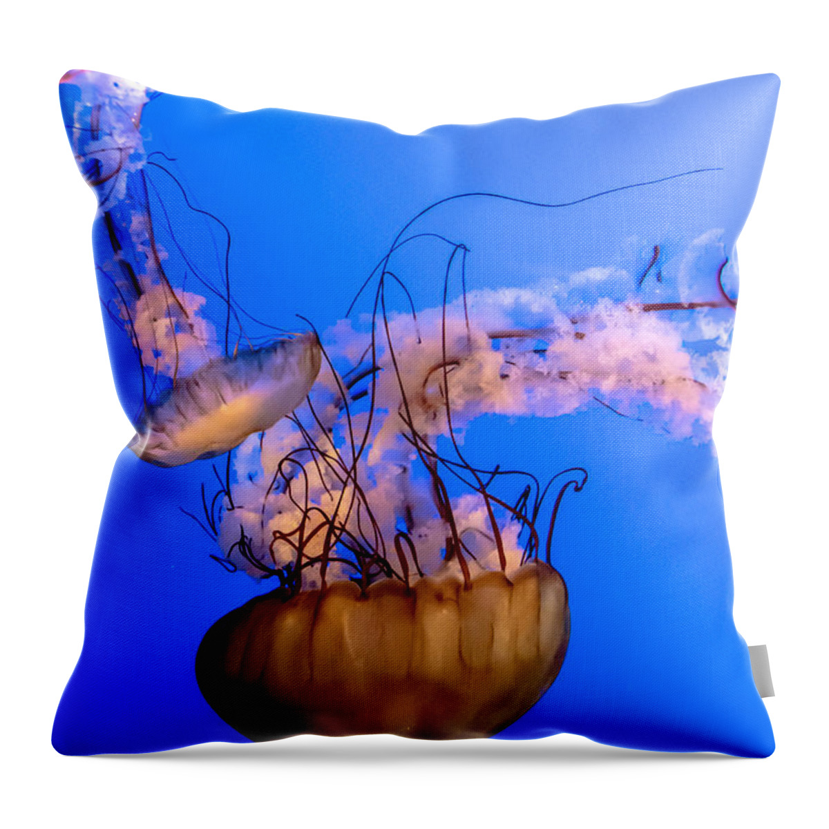 Deep Throw Pillow featuring the photograph Jelly Fish by Cheryl Baxter