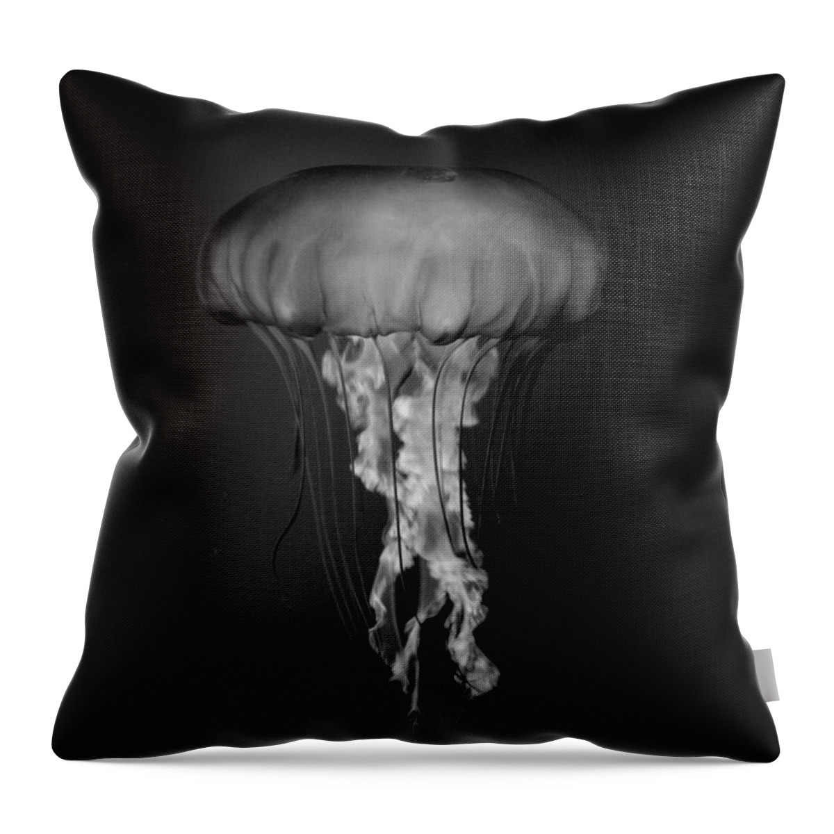 Jelly Throw Pillow featuring the photograph Jelly Fish by Nathan Abbott