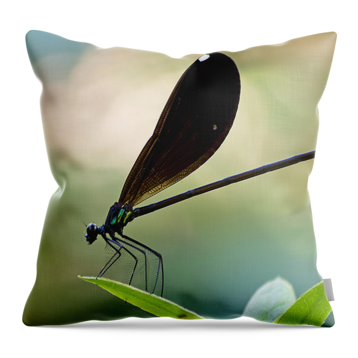Wildlife Throw Pillow featuring the photograph Jewel Winged Damselfly by Kenneth Albin
