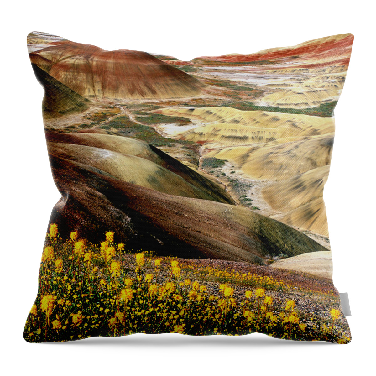 John Day Painted Hills Throw Pillow featuring the photograph John Day Painted Hills Oregon by Ed Riche