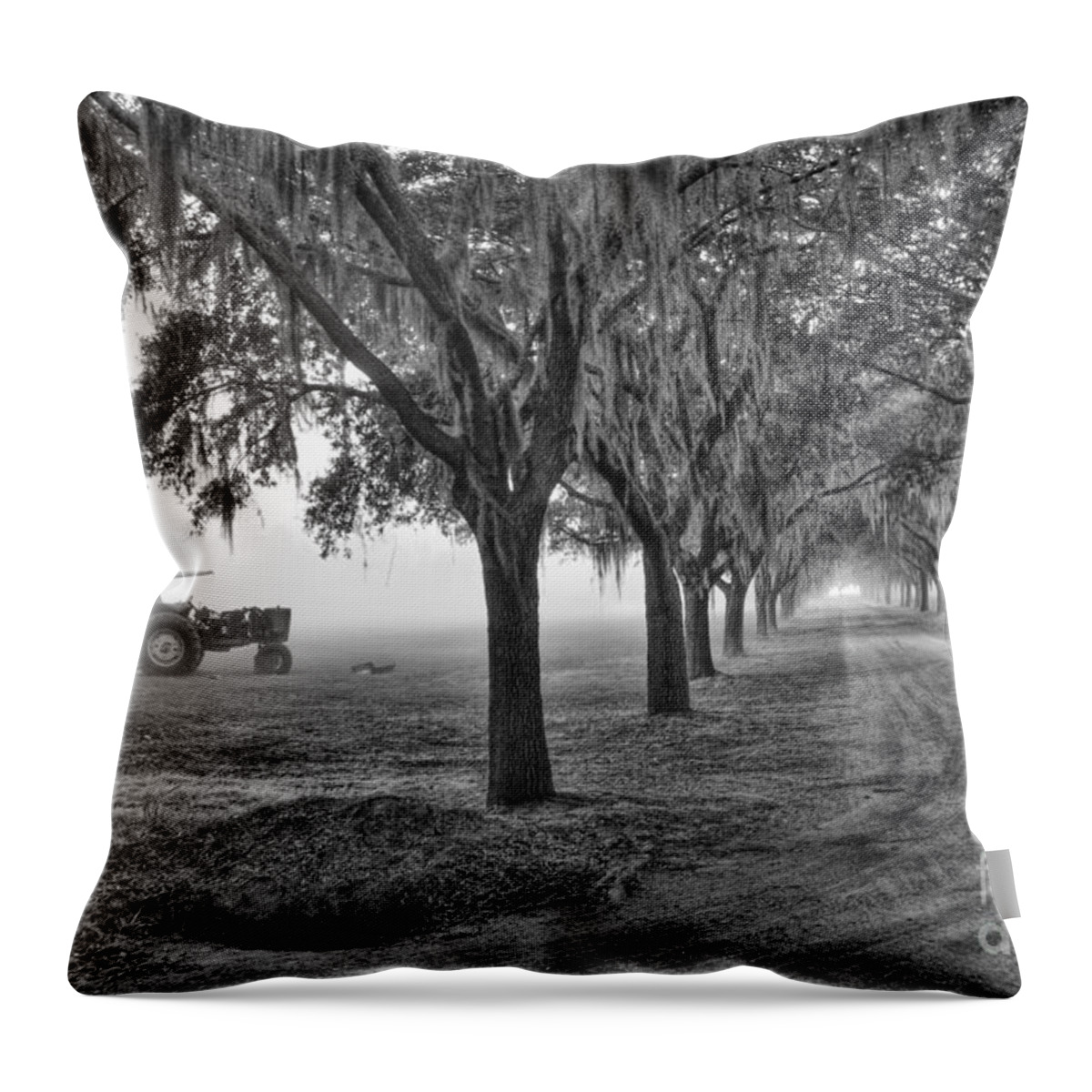Low Throw Pillow featuring the photograph John Deer Tractor and the Avenue of Oaks by Scott Hansen